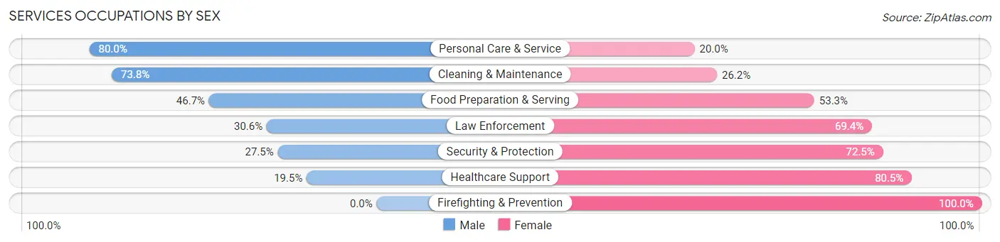 Services Occupations by Sex in Zip Code 65026