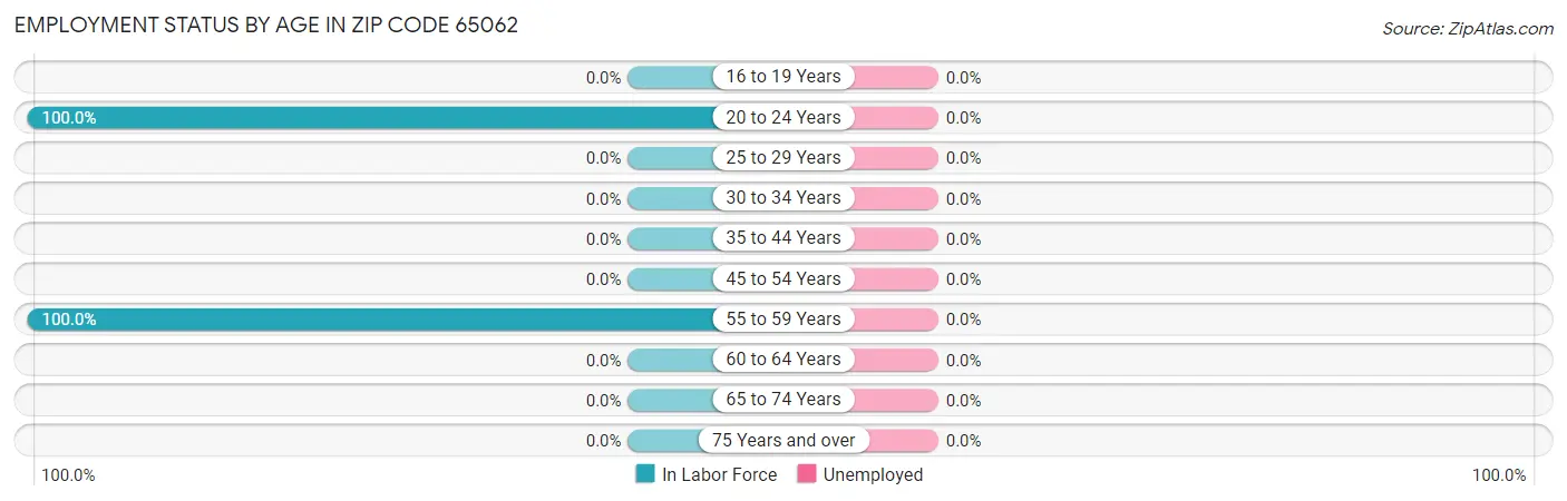 Employment Status by Age in Zip Code 65062