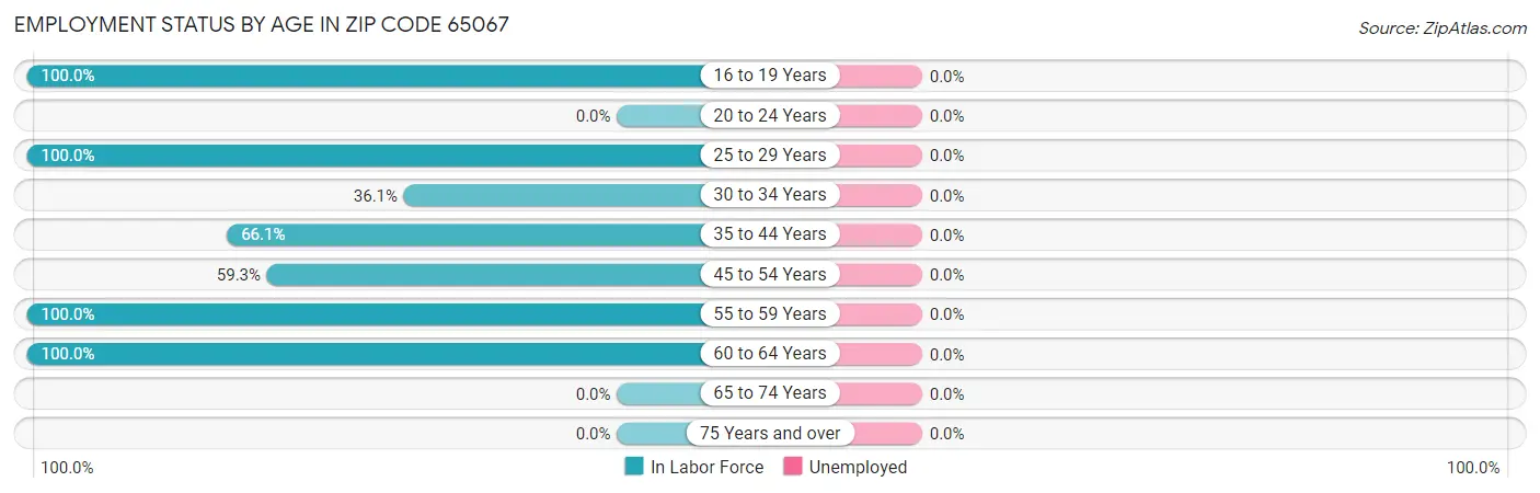 Employment Status by Age in Zip Code 65067