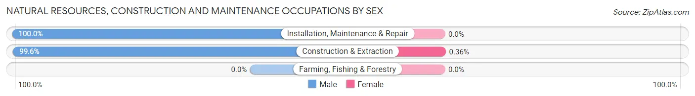Natural Resources, Construction and Maintenance Occupations by Sex in Zip Code 65109