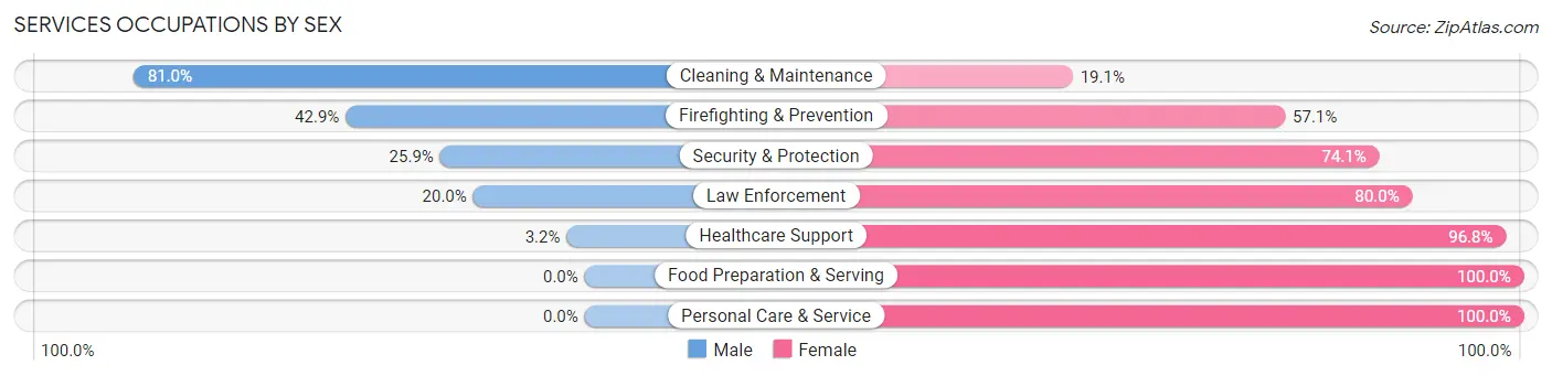 Services Occupations by Sex in Zip Code 65255