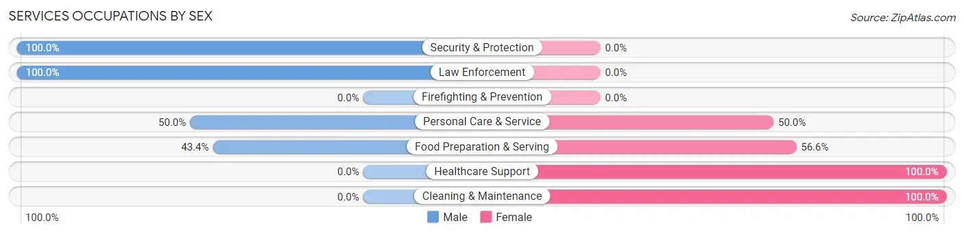 Services Occupations by Sex in Zip Code 65261
