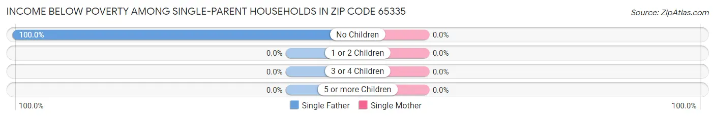 Income Below Poverty Among Single-Parent Households in Zip Code 65335