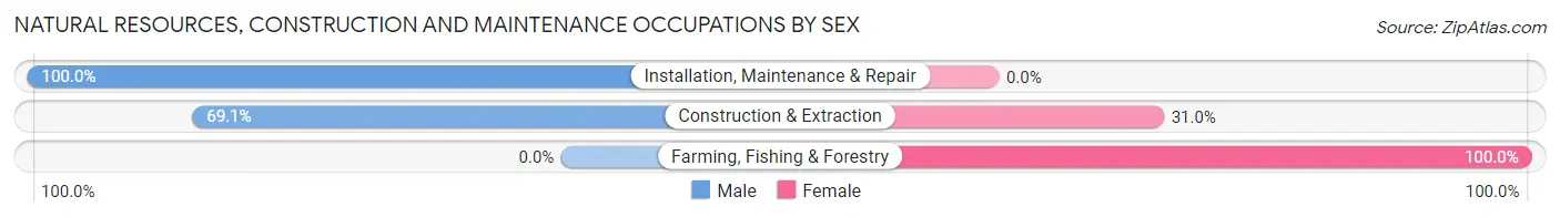 Natural Resources, Construction and Maintenance Occupations by Sex in Zip Code 65669
