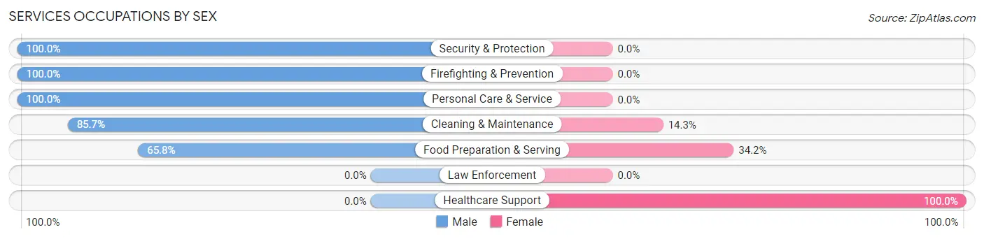 Services Occupations by Sex in Zip Code 65786