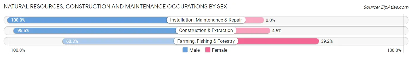 Natural Resources, Construction and Maintenance Occupations by Sex in Zip Code 66502
