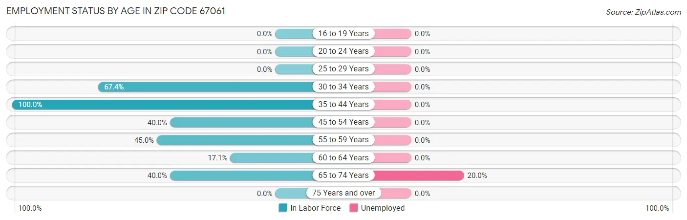 Employment Status by Age in Zip Code 67061