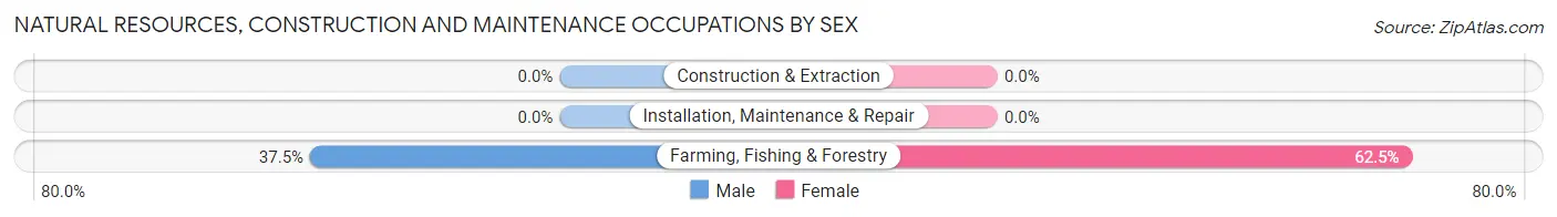 Natural Resources, Construction and Maintenance Occupations by Sex in Zip Code 67155