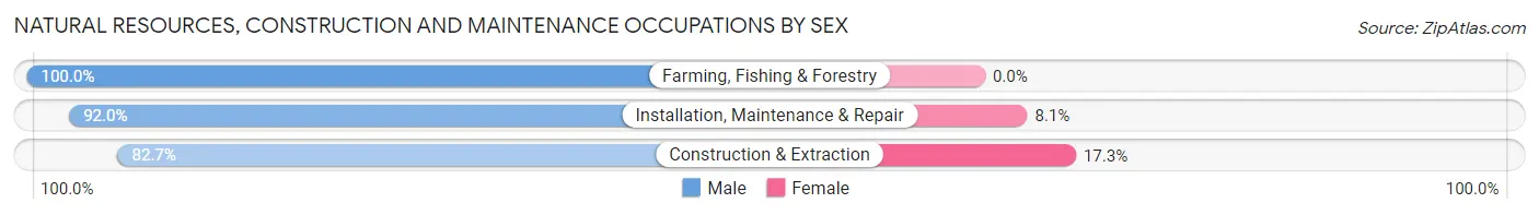 Natural Resources, Construction and Maintenance Occupations by Sex in Zip Code 67335