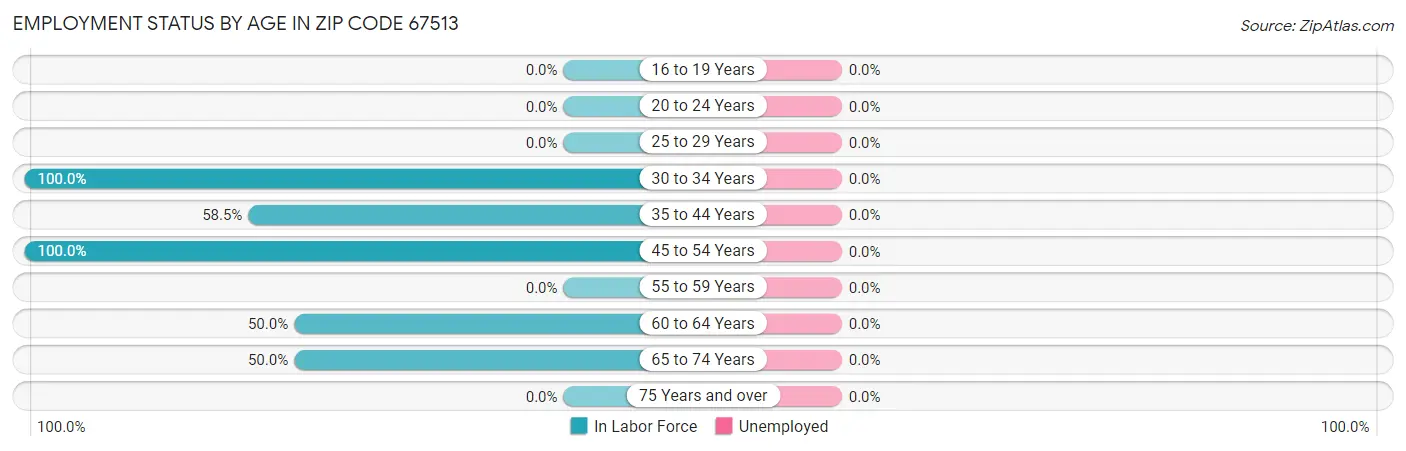 Employment Status by Age in Zip Code 67513