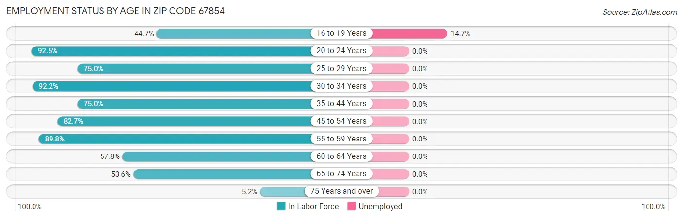 Employment Status by Age in Zip Code 67854