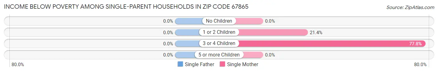 Income Below Poverty Among Single-Parent Households in Zip Code 67865