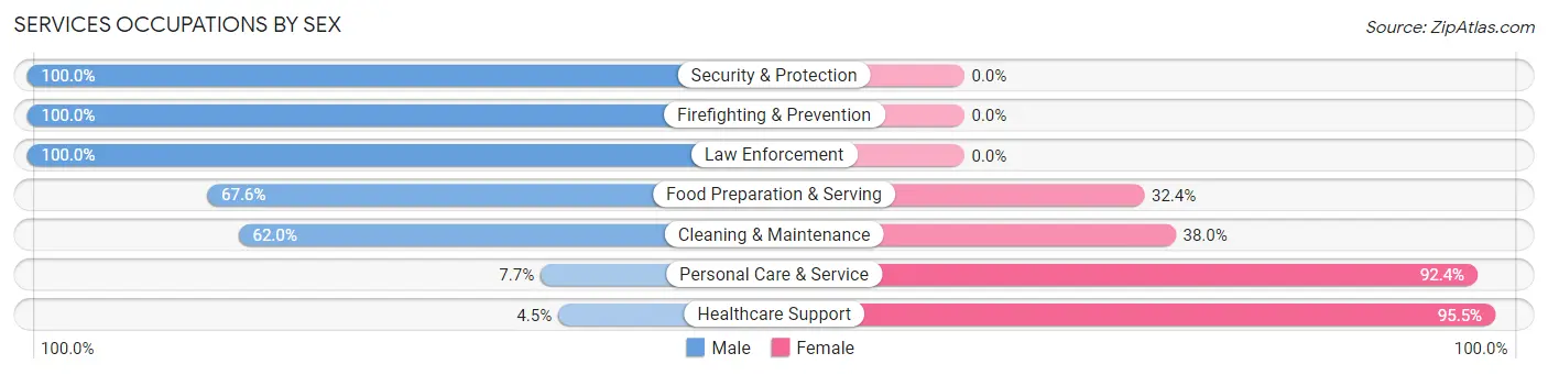 Services Occupations by Sex in Zip Code 68028
