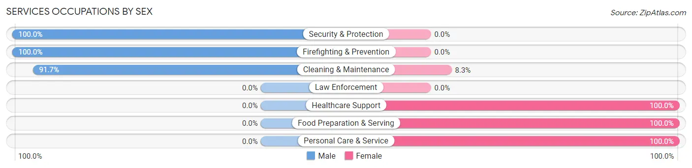 Services Occupations by Sex in Zip Code 68029