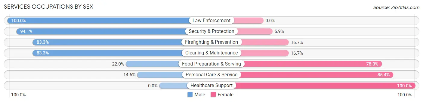 Services Occupations by Sex in Zip Code 68133