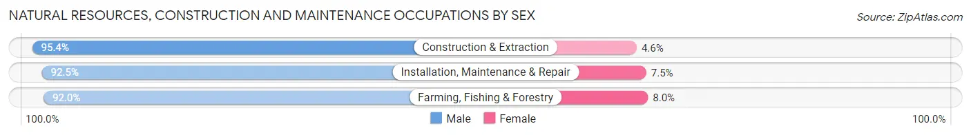 Natural Resources, Construction and Maintenance Occupations by Sex in Zip Code 68134