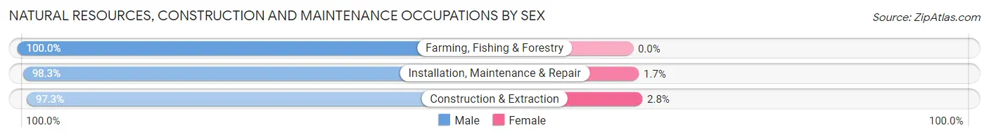 Natural Resources, Construction and Maintenance Occupations by Sex in Zip Code 68138