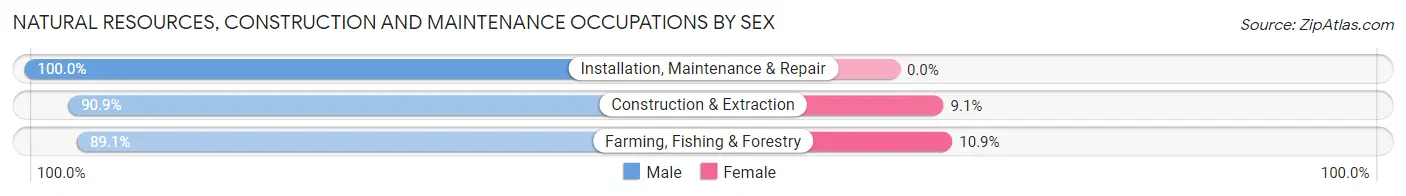 Natural Resources, Construction and Maintenance Occupations by Sex in Zip Code 68937