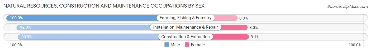 Natural Resources, Construction and Maintenance Occupations by Sex in Zip Code 68942
