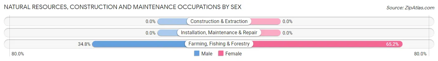 Natural Resources, Construction and Maintenance Occupations by Sex in Zip Code 69161