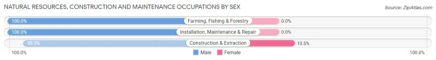Natural Resources, Construction and Maintenance Occupations by Sex in Zip Code 69169