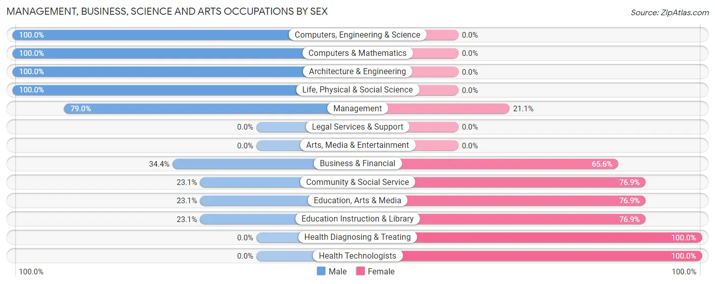 Management, Business, Science and Arts Occupations by Sex in Zip Code 69339