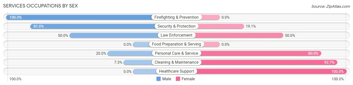 Services Occupations by Sex in Zip Code 69339