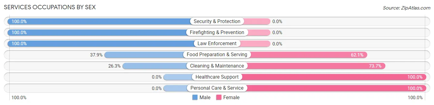 Services Occupations by Sex in Zip Code 69358
