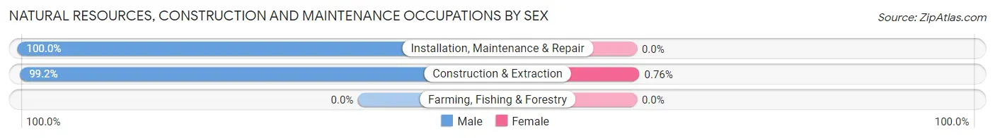 Natural Resources, Construction and Maintenance Occupations by Sex in Zip Code 70001