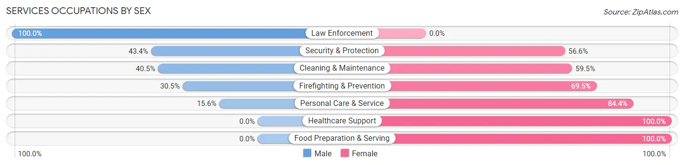 Services Occupations by Sex in Zip Code 70090
