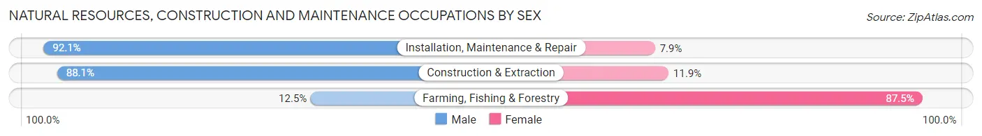 Natural Resources, Construction and Maintenance Occupations by Sex in Zip Code 70118
