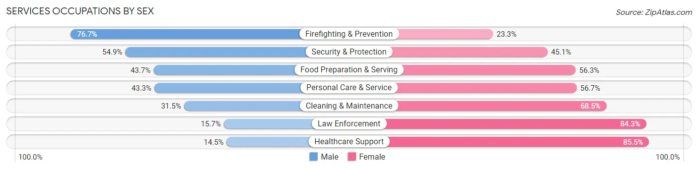 Services Occupations by Sex in Zip Code 70119