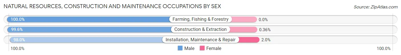 Natural Resources, Construction and Maintenance Occupations by Sex in Zip Code 70714