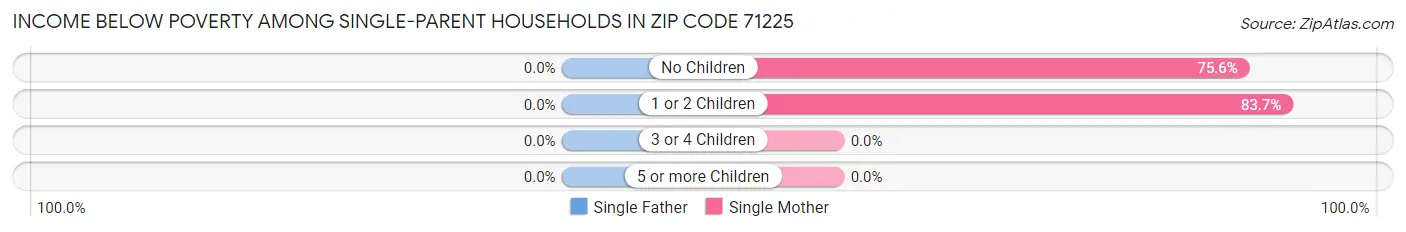 Income Below Poverty Among Single-Parent Households in Zip Code 71225