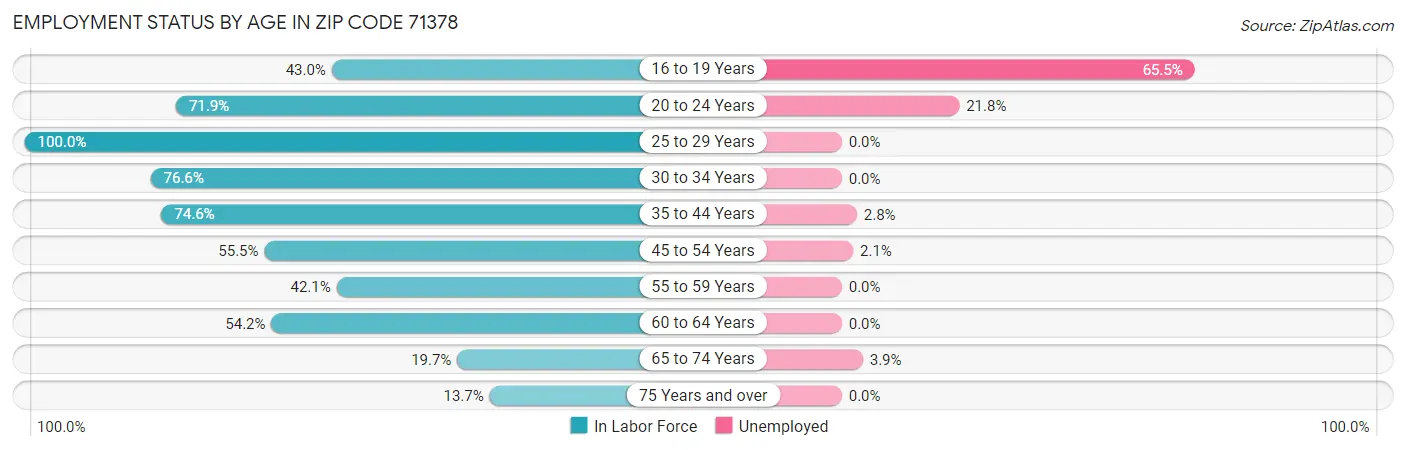 Employment Status by Age in Zip Code 71378