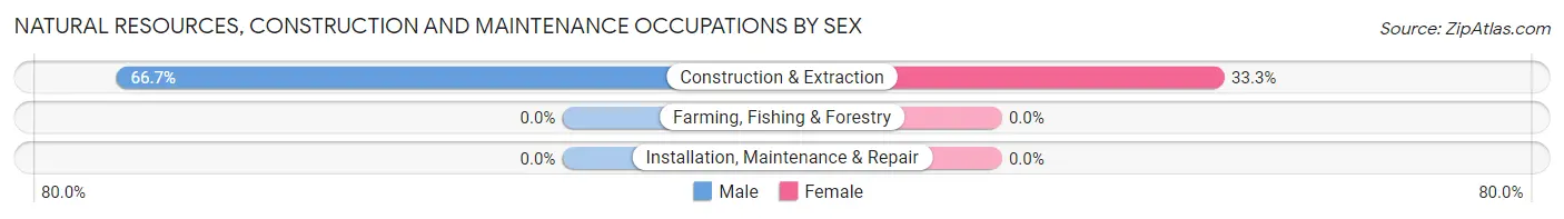 Natural Resources, Construction and Maintenance Occupations by Sex in Zip Code 72139