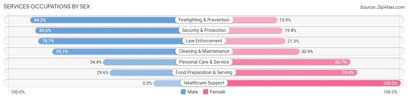 Services Occupations by Sex in Zip Code 72704