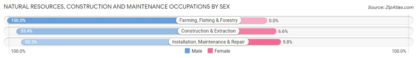 Natural Resources, Construction and Maintenance Occupations by Sex in Zip Code 72734