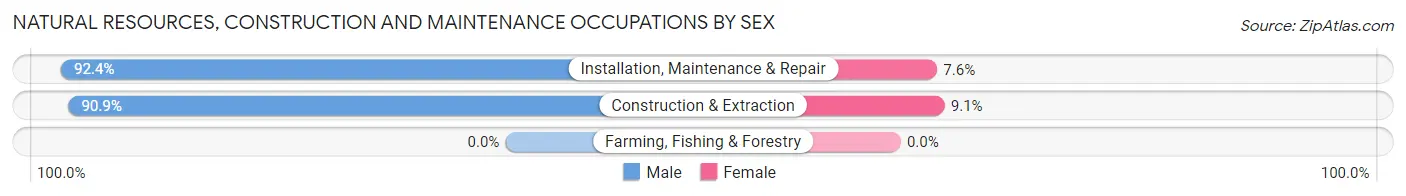 Natural Resources, Construction and Maintenance Occupations by Sex in Zip Code 73111