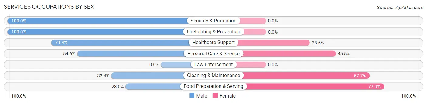 Services Occupations by Sex in Zip Code 73141