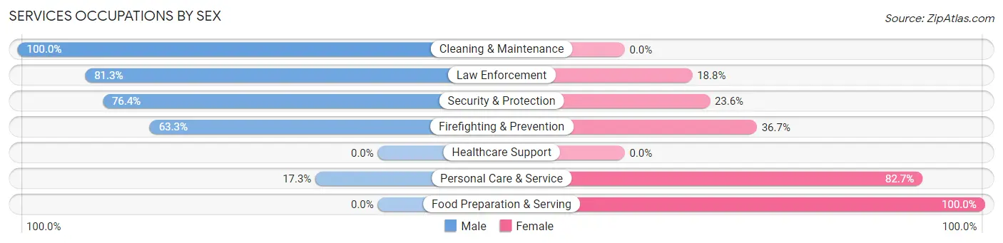 Services Occupations by Sex in Zip Code 73173