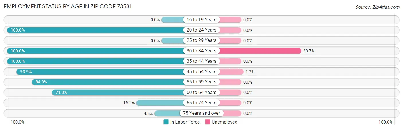 Employment Status by Age in Zip Code 73531