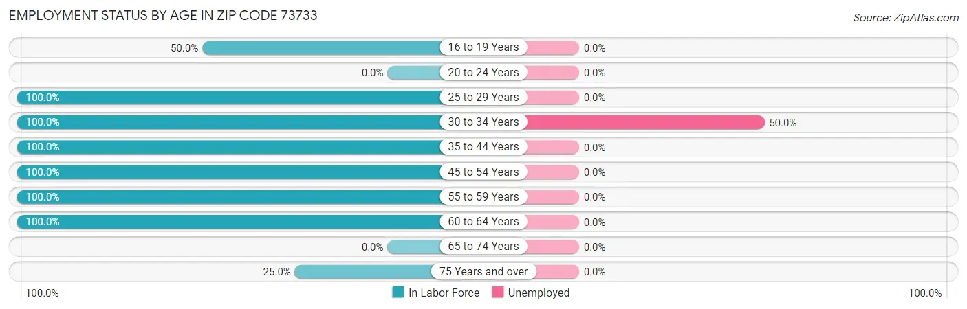 Employment Status by Age in Zip Code 73733