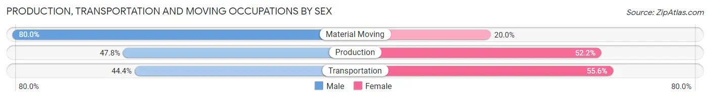 Production, Transportation and Moving Occupations by Sex in Zip Code 73939