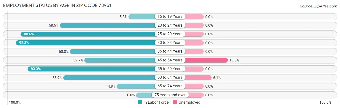 Employment Status by Age in Zip Code 73951