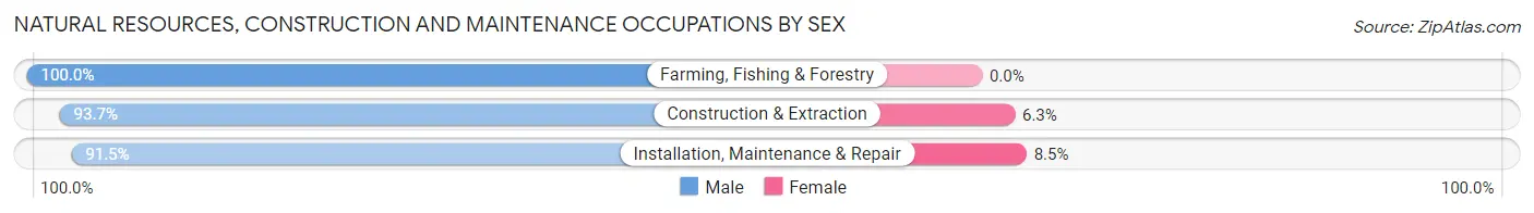 Natural Resources, Construction and Maintenance Occupations by Sex in Zip Code 74008