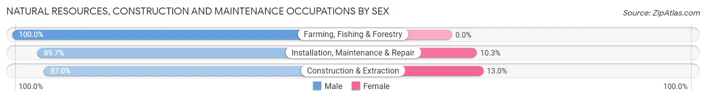 Natural Resources, Construction and Maintenance Occupations by Sex in Zip Code 74652