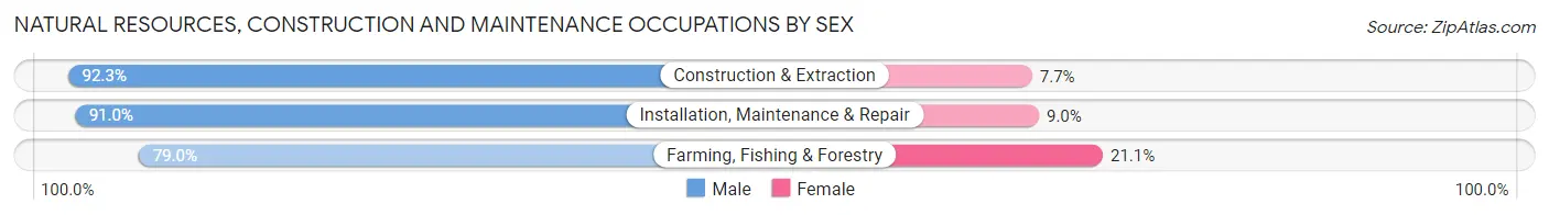 Natural Resources, Construction and Maintenance Occupations by Sex in Zip Code 74653