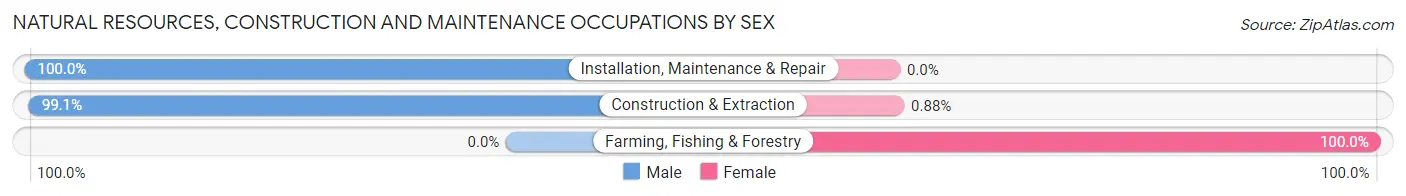 Natural Resources, Construction and Maintenance Occupations by Sex in Zip Code 75042