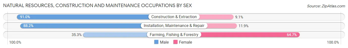Natural Resources, Construction and Maintenance Occupations by Sex in Zip Code 75158